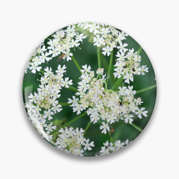 Item preview, Hogweed designed and sold by Alternative Perspectives.