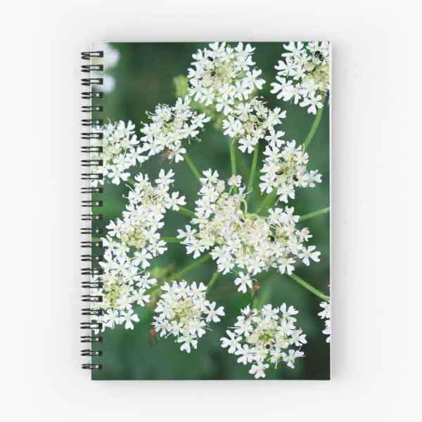 Item preview, Hogweed designed and sold by Alternative Perspectives.