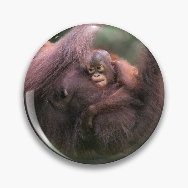 Item preview, Orangutan with baby designed and sold by Richard Shakenovsky.