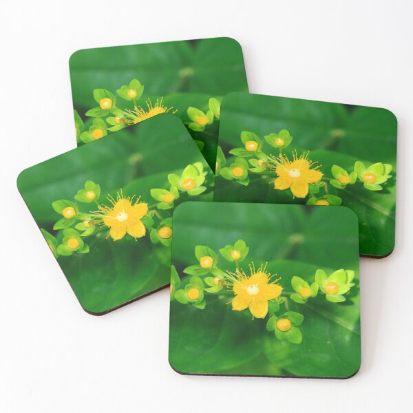 Item preview, Hypericum  designed and sold by Alternative Perspectives.