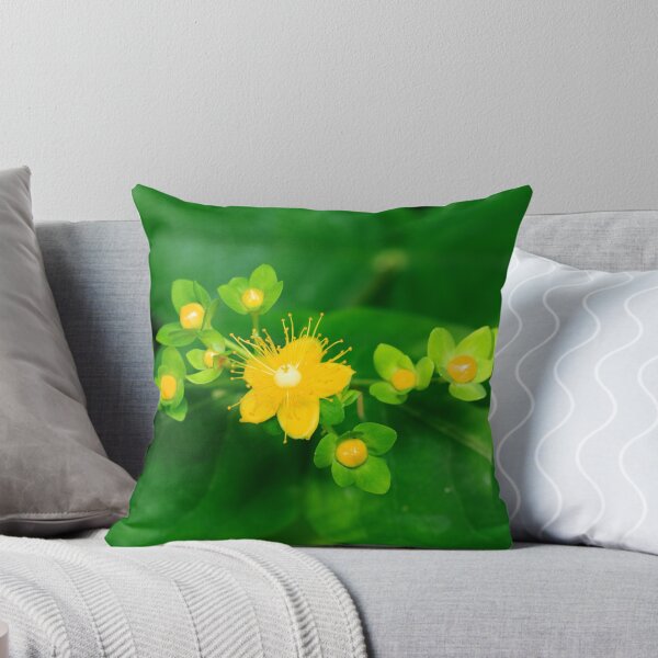 Item preview, Hypericum  designed and sold by Alternative Perspectives.