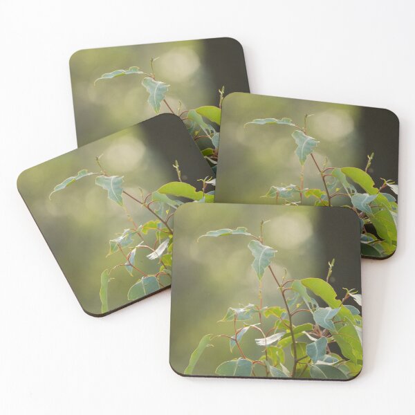 Item preview, Young leaves of gum tree designed and sold by Images by Chris de Blank.