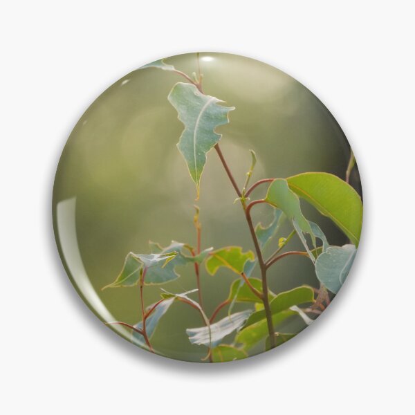 Item preview, Young leaves of gum tree designed and sold by Images by Chris de Blank.