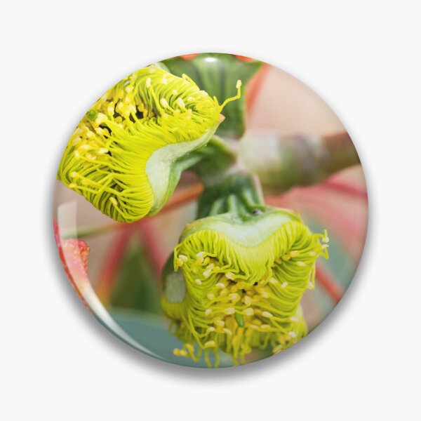 Item preview, New Life, Yellow Flowering Gum designed and sold by Images by Chris de Blank.