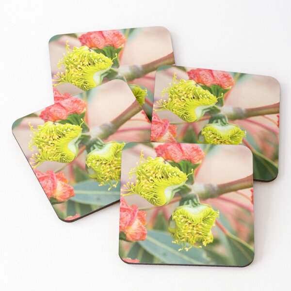 Item preview, New Life, Yellow Flowering Gum designed and sold by Images by Chris de Blank.