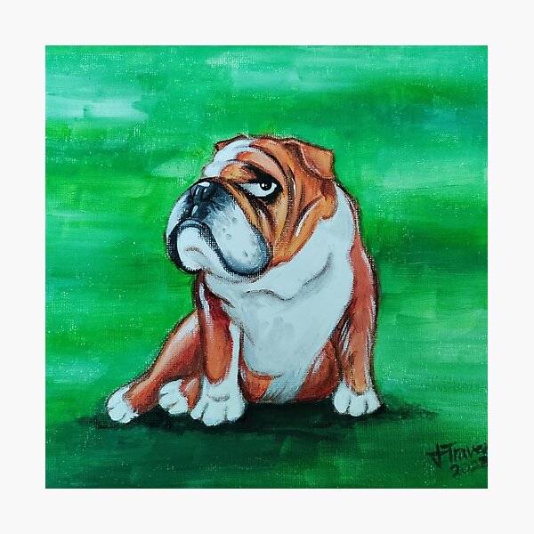 Artikel-Vorschau von Bronx Die Bulldogge, designt und verkauft von designersaurs.