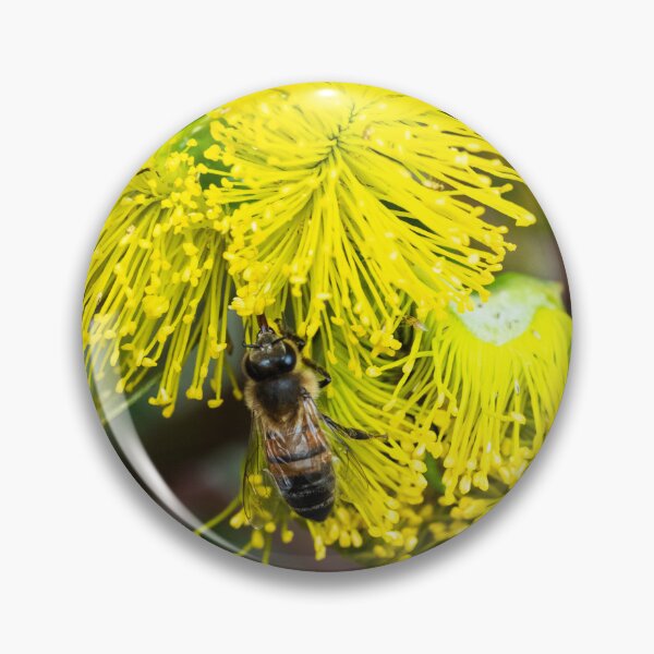 Item preview, Bee polinating yellow flowers designed and sold by Images by Chris de Blank.