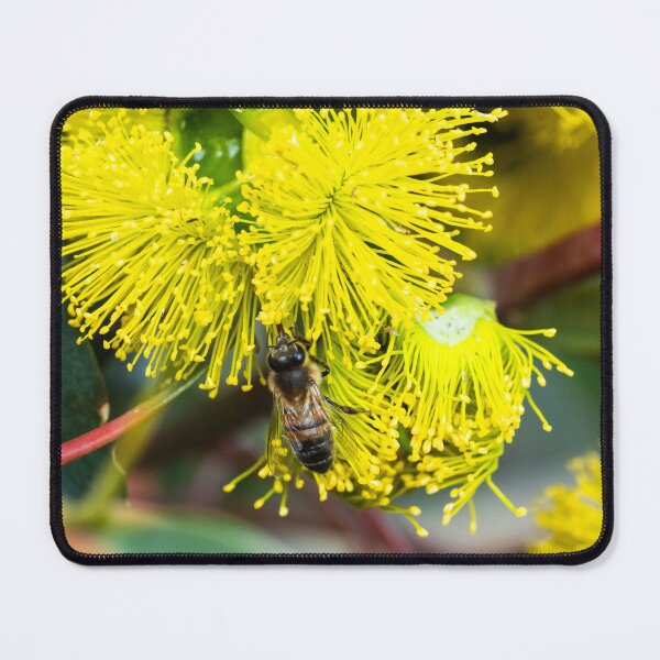 Item preview, Bee polinating yellow flowers designed and sold by Images by Chris de Blank.