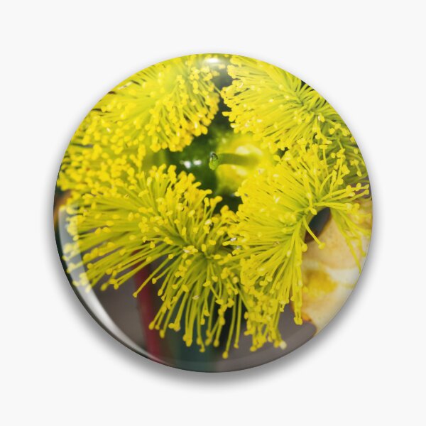Item preview, Recently Opened designed and sold by Images by Chris de Blank.