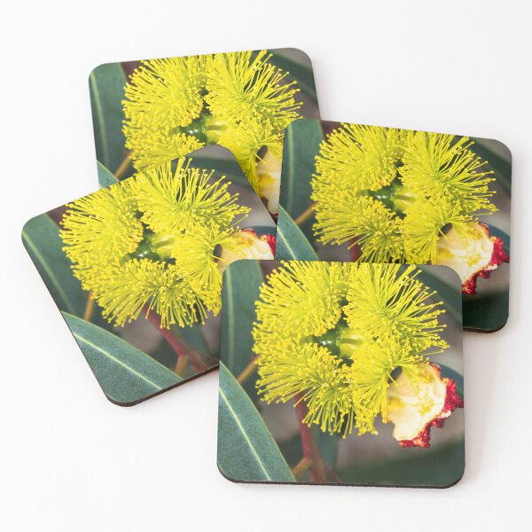 Item preview, Recently Opened designed and sold by Images by Chris de Blank.