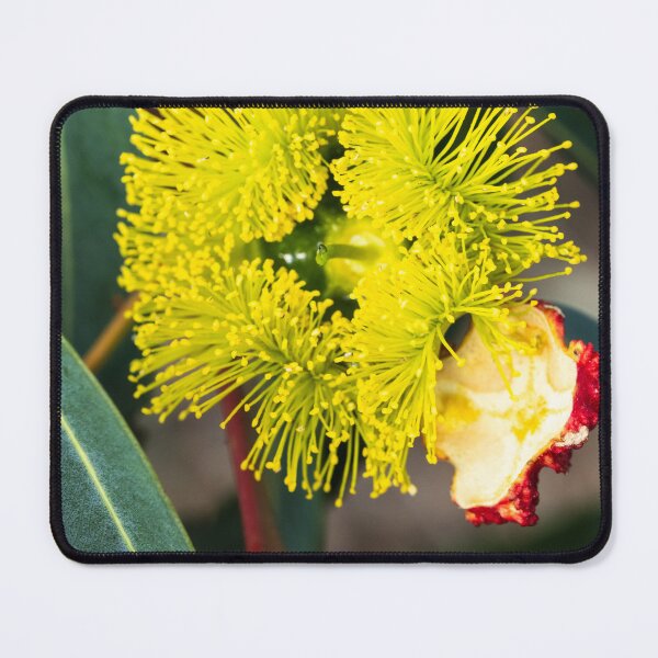 Item preview, Recently Opened designed and sold by Images by Chris de Blank.