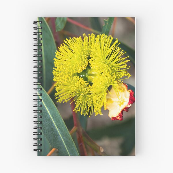 Item preview, Recently Opened designed and sold by Images by Chris de Blank.