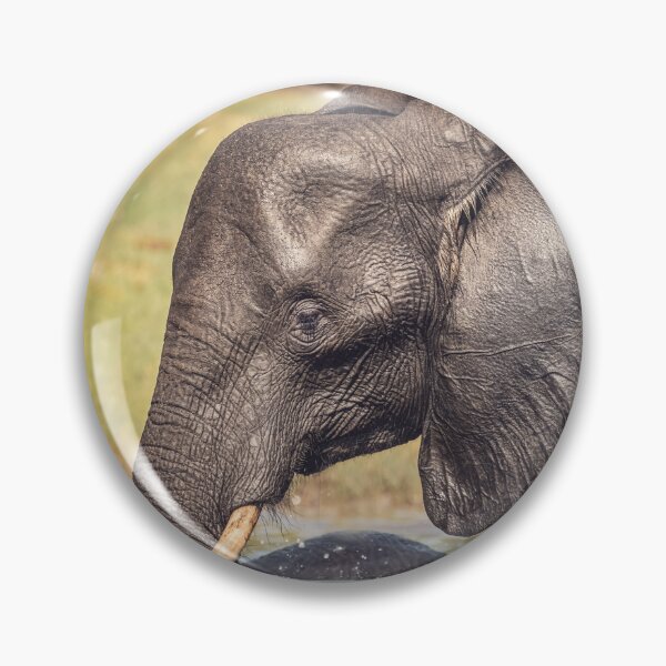 Item preview, Elephant Chillin Out Botswana Africa designed and sold by PhotoArt by Joan Carroll.