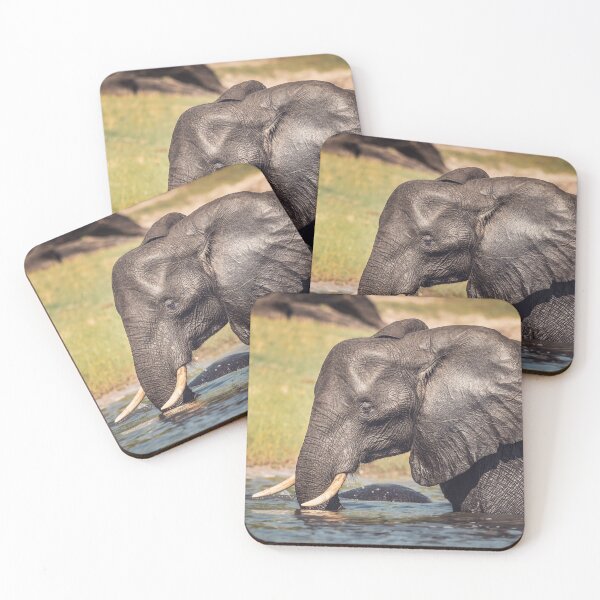 Item preview, Elephant Chillin Out Botswana Africa designed and sold by PhotoArt by Joan Carroll.
