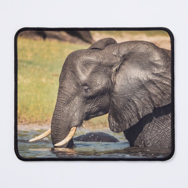 Item preview, Elephant Chillin Out Botswana Africa designed and sold by PhotoArt by Joan Carroll.