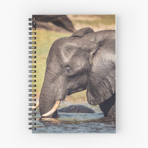 Item preview, Elephant Chillin Out Botswana Africa designed and sold by PhotoArt by Joan Carroll.