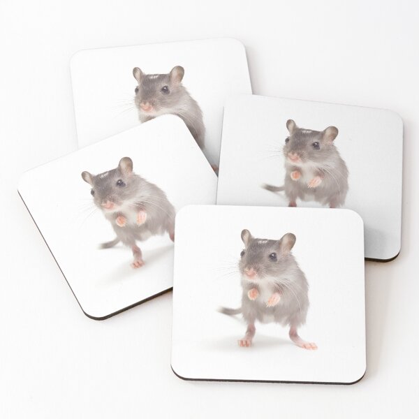 Item preview, Grey gerbil standing on hind legs on white background. designed and sold by bailey-cooper.
