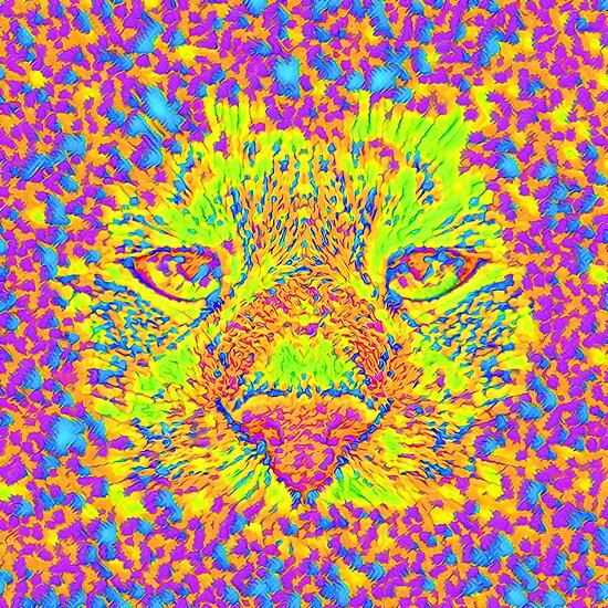 Abstract Cat Nose