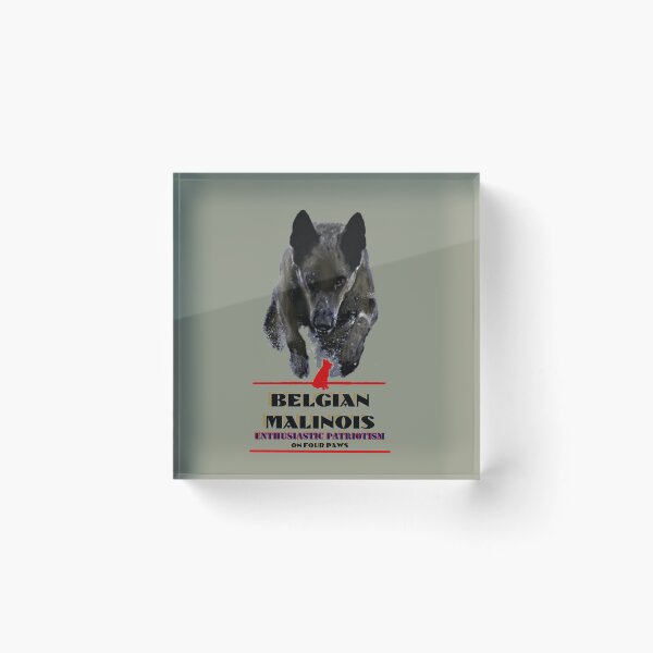Item preview, SPECIAL FORCES ELITE DESIGNS MALINOIS designed and sold by THE AMERICAN TEEVANGELIST.