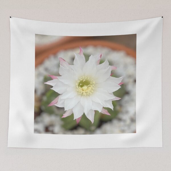 Item preview, CACTUS FLOWER designed and sold by artrishkyna.