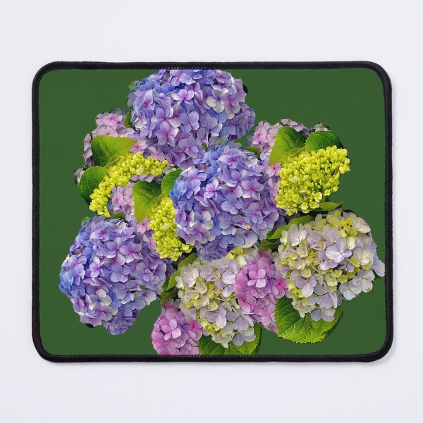 Item preview, Multi colored hydrangea bouquet designed and sold by Susan Gallup.