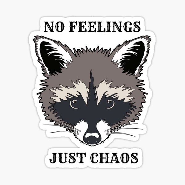 Crazy Raccoon Merch & Gifts for Sale | Redbubble