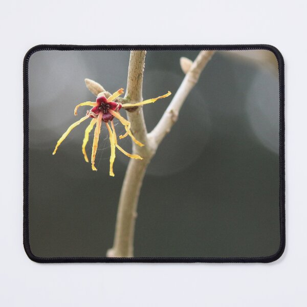 Item preview, Withered Flower designed and sold by H-Stone-Photo.