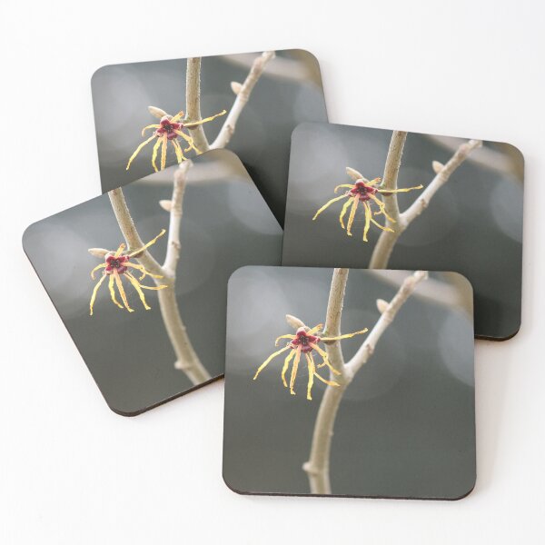 Item preview, Withered Flower designed and sold by H-Stone-Photo.