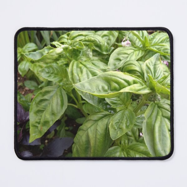 Item preview, basil green designed and sold by DonnaBlankaArt.