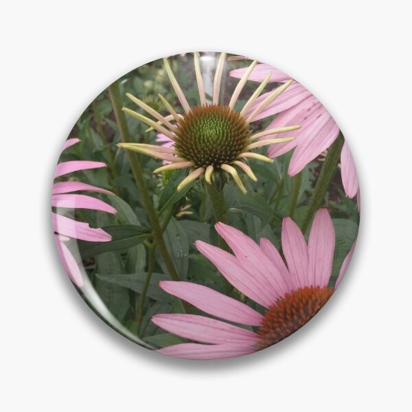 Item preview, echinacea designed and sold by DonnaBlankaArt.