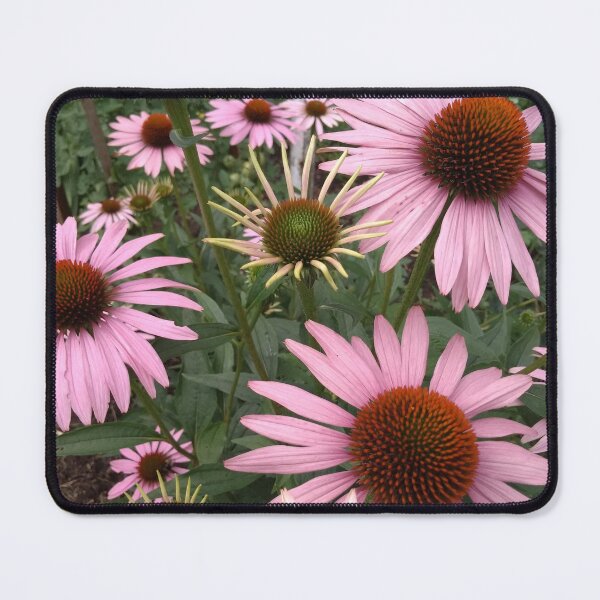 Item preview, echinacea designed and sold by DonnaBlankaArt.