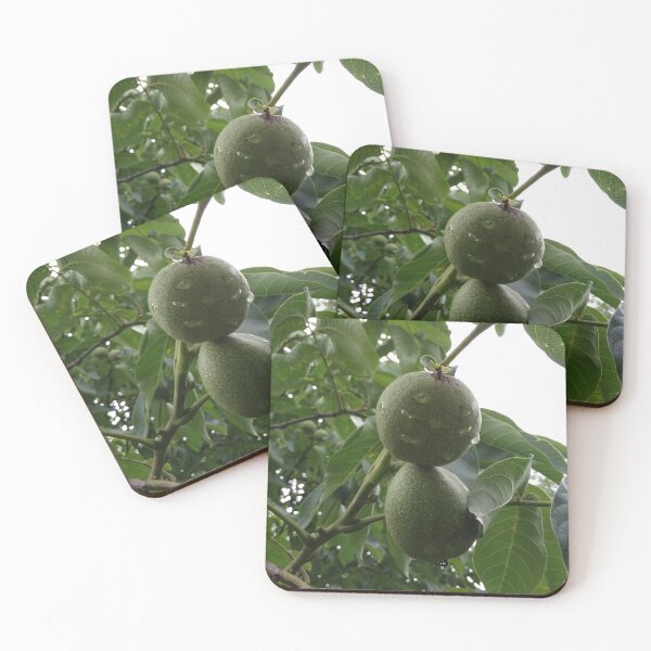 Item preview, walnut designed and sold by DonnaBlankaArt.