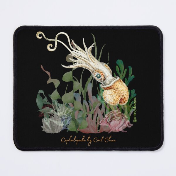 Item preview, Cephalopoda by Carl Chun designed and sold by smirey designs.