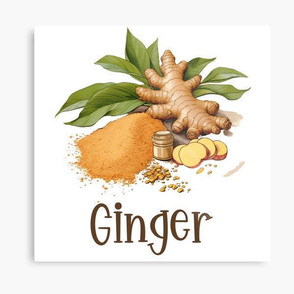 Item preview, Hand Drawn Illustration of Ginger designed and sold by Sketch-Shack.