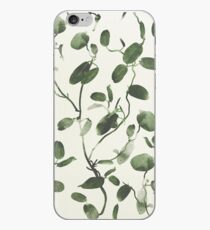 Hoya Carnosa / Porcelainflower iPhone Case