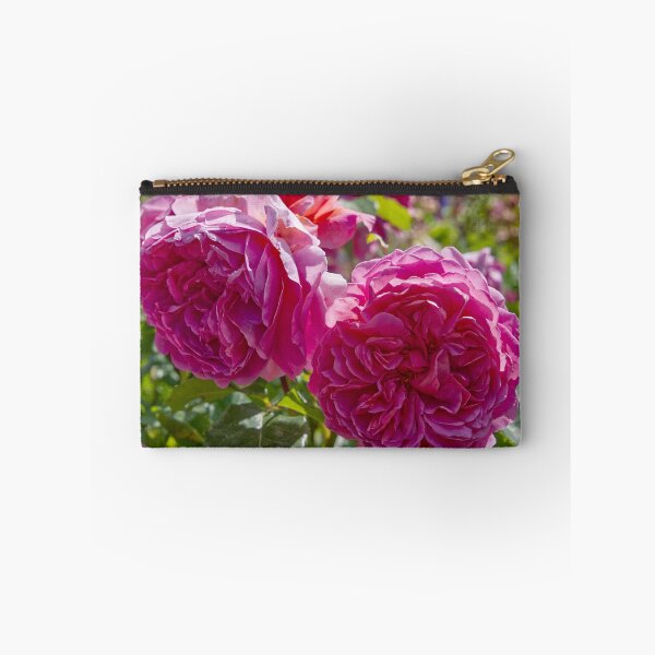 Item preview, Rosa Gallica - French Rose - RHS Garden Rosemoor - Devon - English Gardens designed and sold by LucaRocchini.