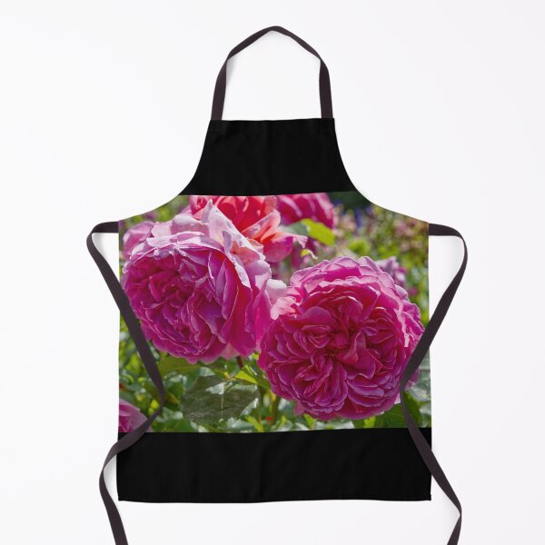 Item preview, Rosa Gallica - French Rose - RHS Garden Rosemoor - Devon - English Gardens designed and sold by LucaRocchini.