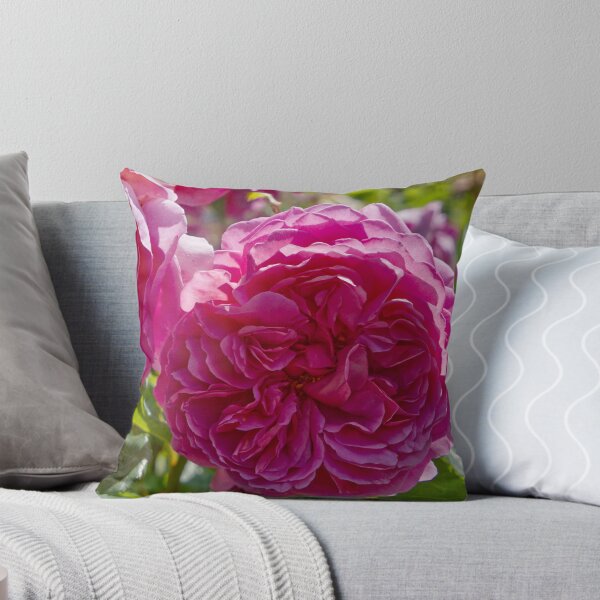 Item preview, Rosa Gallica - French Rose - RHS Garden Rosemoor - Devon - English Gardens designed and sold by LucaRocchini.