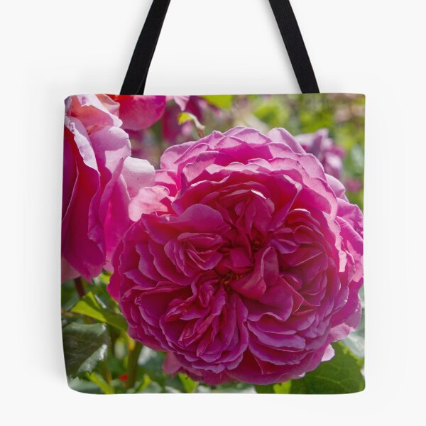 Item preview, Rosa Gallica - French Rose - RHS Garden Rosemoor - Devon - English Gardens designed and sold by LucaRocchini.