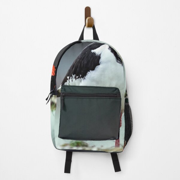 Item preview, Oystercatcher designed and sold by Tom McPherson Photography.