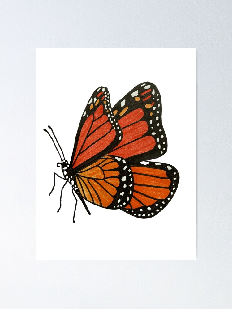 Butterfly Side View Vector - Butterfly Side View Drawing - Free Transparent  PNG Download - PNGkey