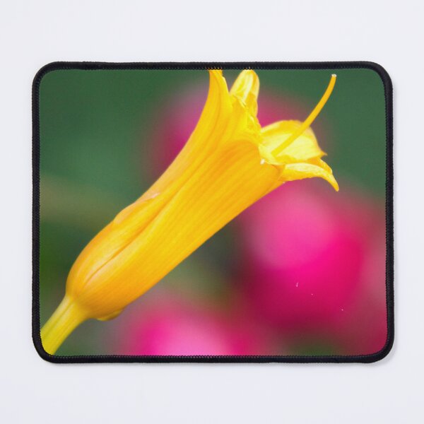Item preview, Yellow flower with pink and green background designed and sold by dddesignsnj.
