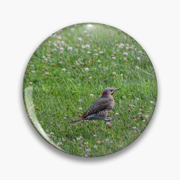 Item preview, Northern Flicker designed and sold by kry.ative.