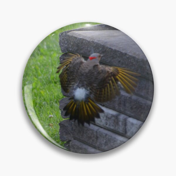 Item preview, Northern Flicker designed and sold by kry.ative.