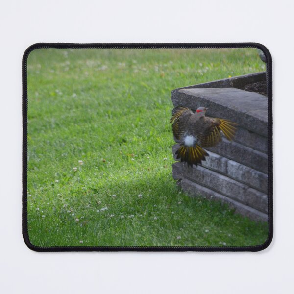 Item preview, Northern Flicker designed and sold by kry.ative.