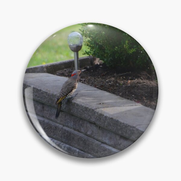 Item preview, Northern Flicker designed and sold by kry.ative.