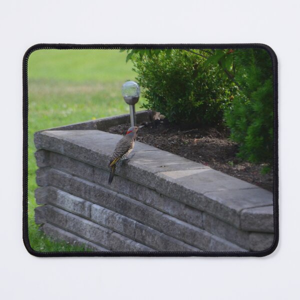 Item preview, Northern Flicker designed and sold by kry.ative.
