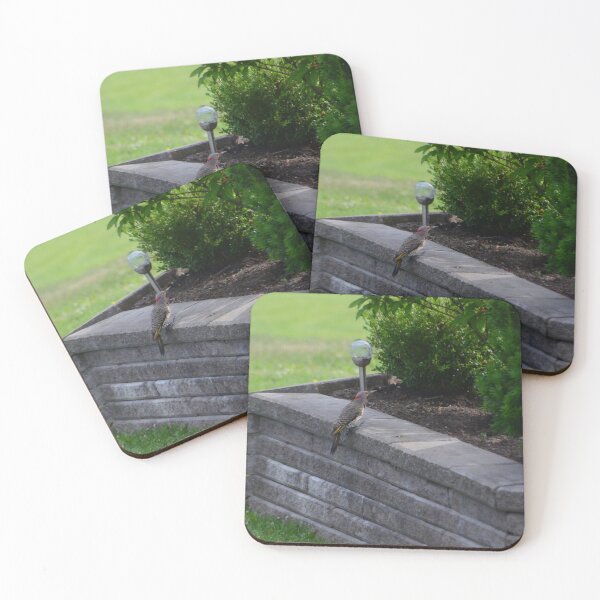Item preview, Northern Flicker designed and sold by kry.ative.