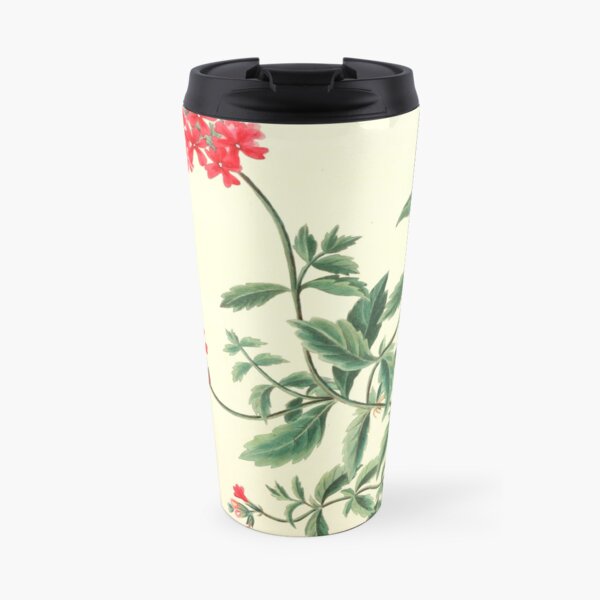 Roscoe, Margaret (1786-1840) - Floral Illustrations of the Seasons 1831 - Verbena Chamaedrifolia Travel Mug
