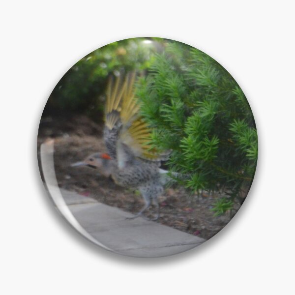 Item preview, Northern Flicker designed and sold by kry.ative.